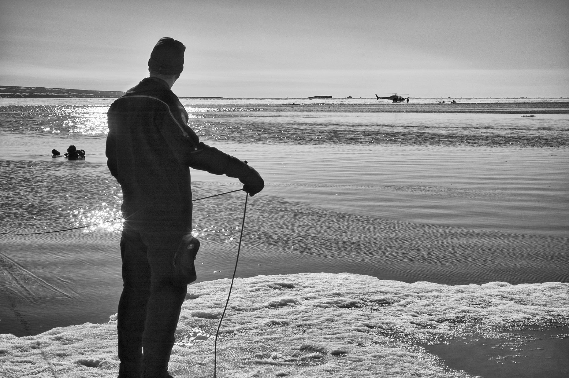 Arctique-26